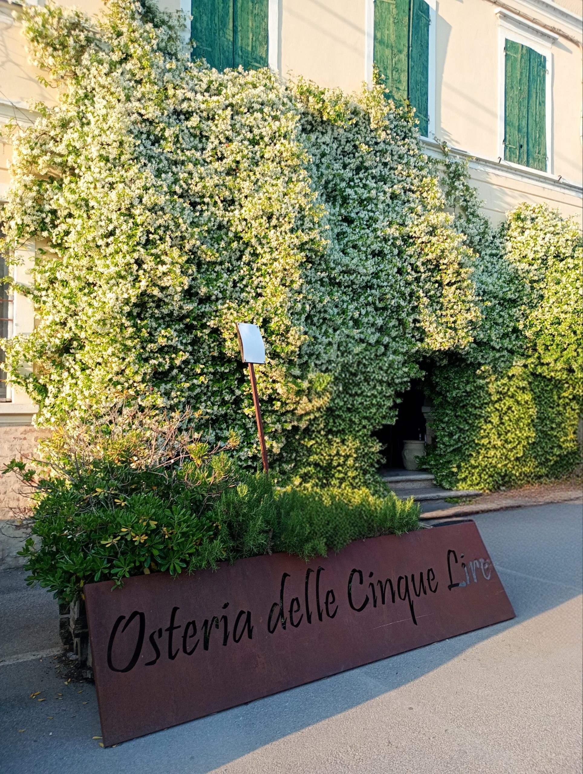 The Best Food Experience Mantua: Authentic Local Cuisine in a Traditional Trattoria Near the City